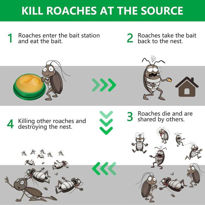 EcoShield Roach Defense Gel: Total Cockroach Elimination